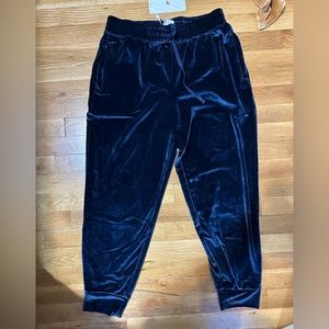 Fabletics Velour Jogger